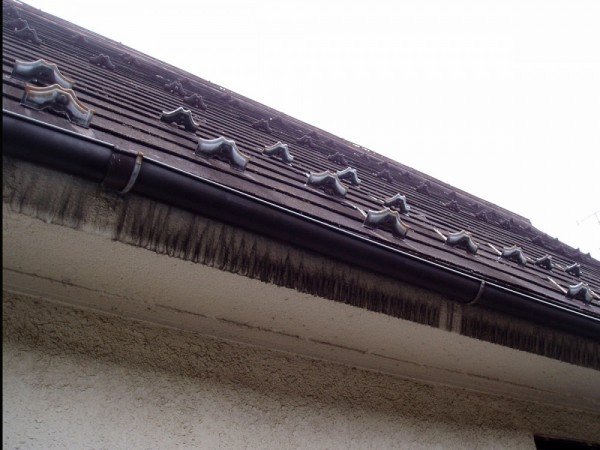 外壁塗装・屋根葺き工事の施工例（品川区）
